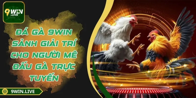 Đá Gà 9WIN - Sảnh Giải Trí Cho Người Mê Đấu Gà Trực Tuyến